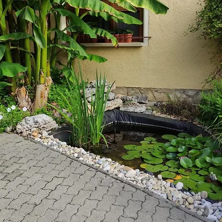 Eckhardt Vendeghaz