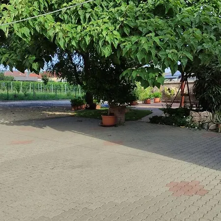 Pensiune Eckhardt Vendeghaz