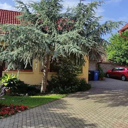 Pensiune Eckhardt Vendeghaz 3*