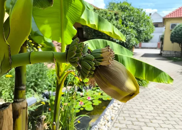 Eckhardt Vendeghaz 3* Villány