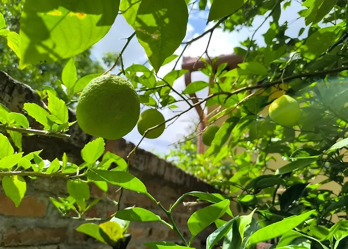 Pensionat Eckhardt Vendeghaz Villány