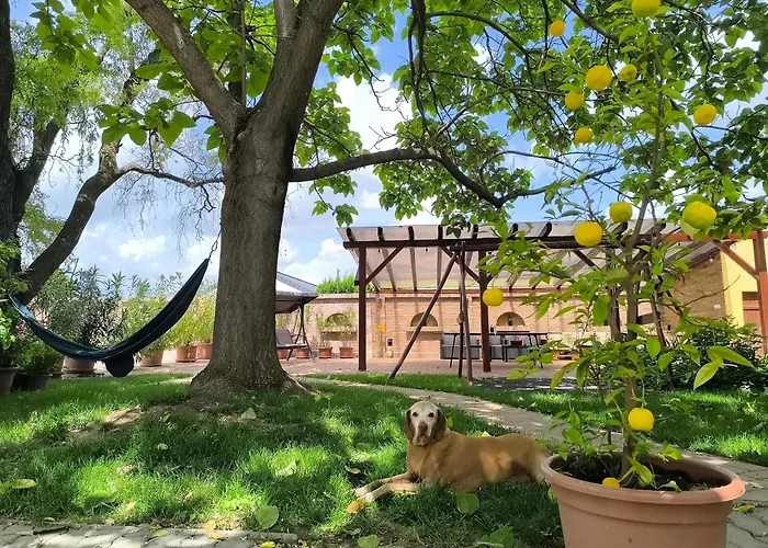 Guest house Eckhardt Vendeghaz