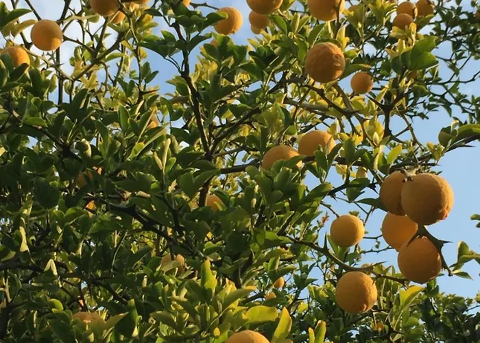 Eckhardt Vendeghaz Pensionat