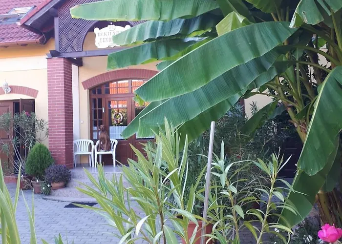 Pensionat Eckhardt Vendeghaz Villány